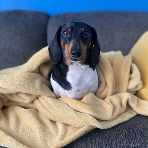 Meet your Posher, Beth